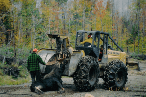 Towing Moose with Skidder